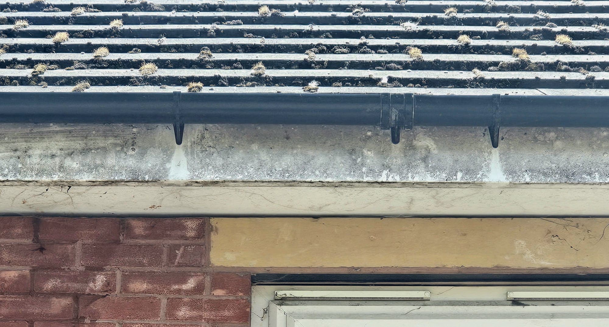 Dirty fascias, soffits and mossy roofline on a Barnsley home before cleaning