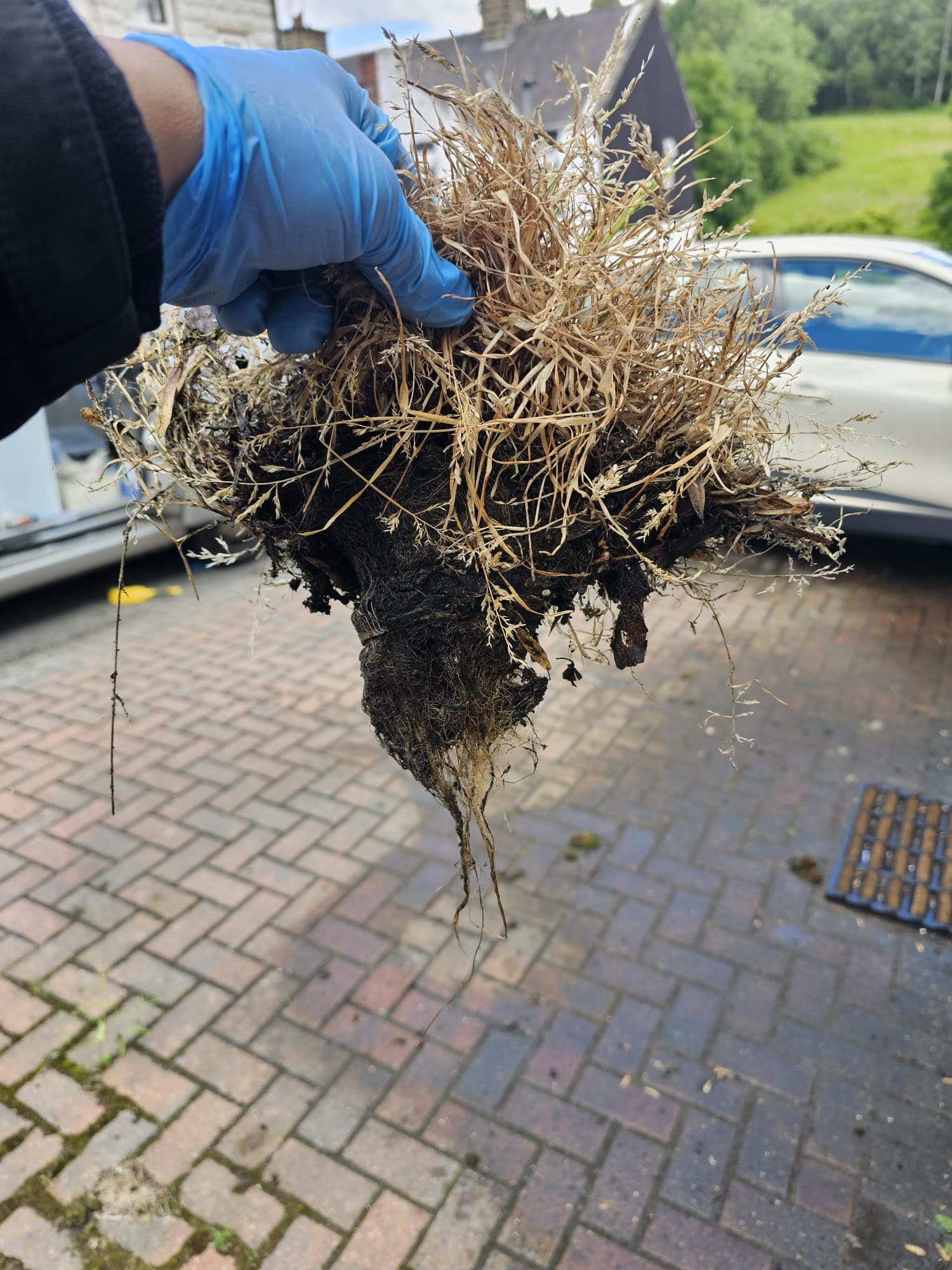 A large clump of moss and weeds removed from a blocked gutter in Barnsley